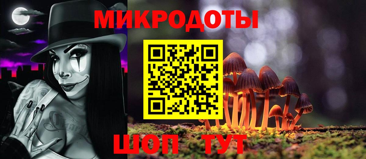 Псилоцибиновые грибы Cubensis Уфа
